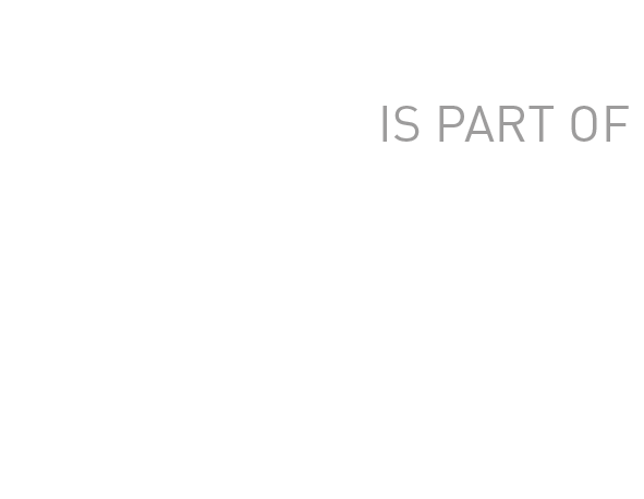 Footer logo VDS
